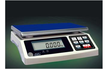 ZNS Series Weighing E-scale